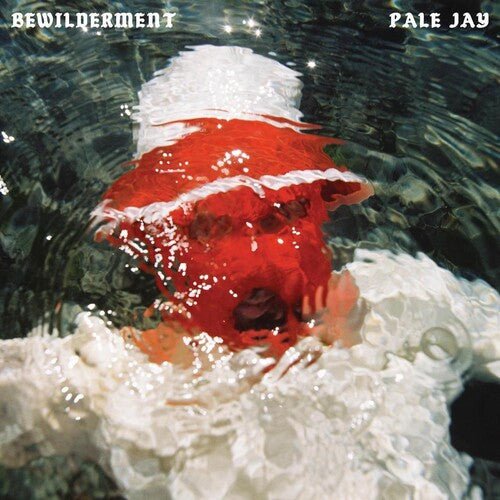 PALE JAY - BEWILDERMENT Vinyl LP - Image 2