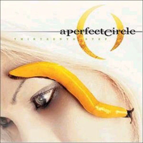 PERFECT CIRCLE - THIRTEENTH STEP Vinyl LP