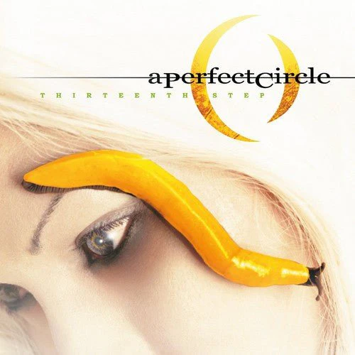 PERFECT CIRCLE - THIRTEENTH STEP Vinyl LP - Image 2