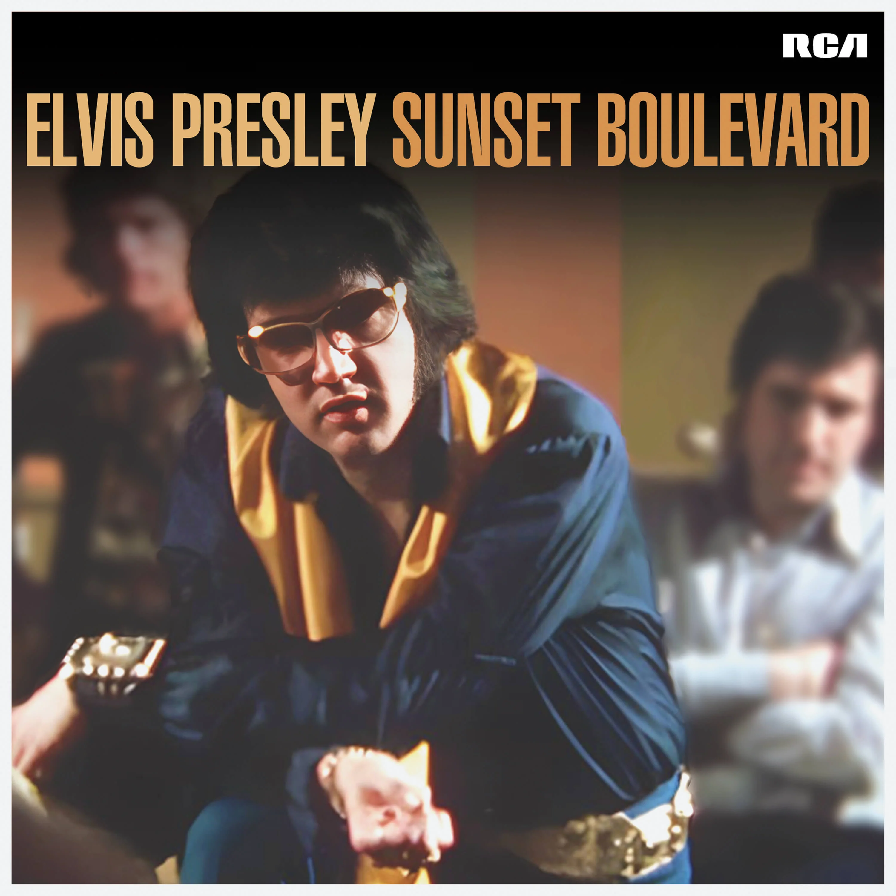PRESLEY,ELVIS - SUNSET BOULEVARD Vinyl LP - Image 2