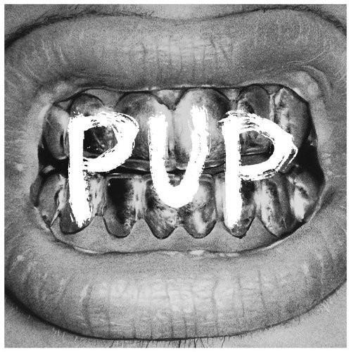 PUP Vinyl LP - Image 36
