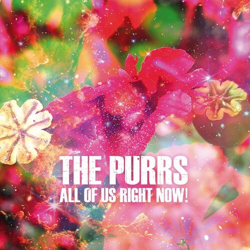 PURRS - ALL OF US RIGHT NOW Vinyl LP