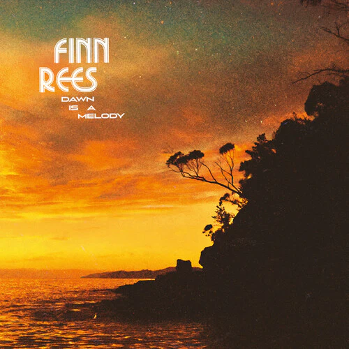 REES,FINN - DAWN IS A MELODY Vinyl LP