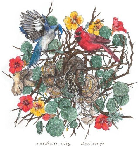 RILEY,NATHANIEL - BIRD SONGS Vinyl LP