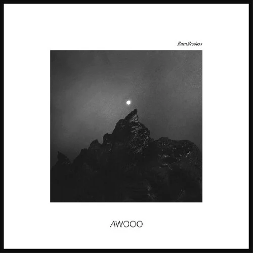 RUEN BROTHERS - AWOOO Vinyl LP