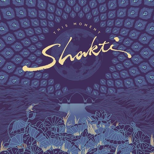 SHAKTI - THIS MOMENT Vinyl LP - Image 2