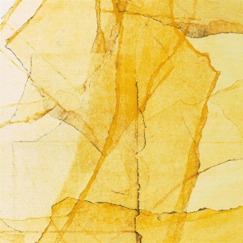 SMITH,WADADA LEO / MYAERS,AMINA CLAUDINE - CENTRAL PARKS MOSAIC OF RESERVOIR, LAKE, PATHS AND Vinyl LP