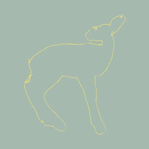 SONGS: OHIA - HECLA & GRIPER (15TH ANNIVERSARY EDITION) Vinyl LP
