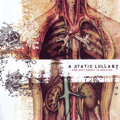 STATIC LULLABY - & DON'T FORGET TO BREATHE Vinyl LP