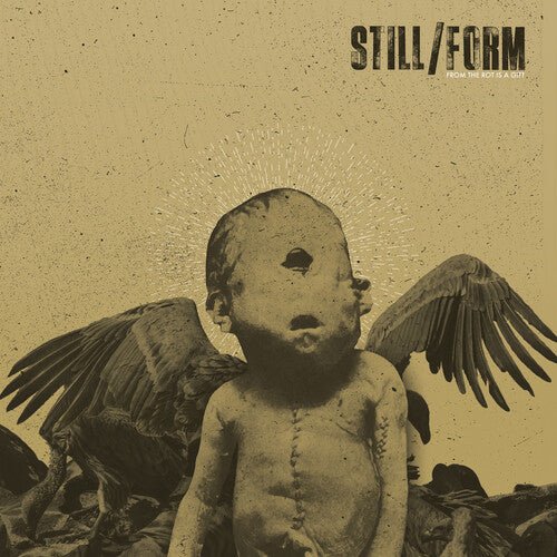 STILL/FORM - FROM THE ROT IS A GIFT Vinyl LP