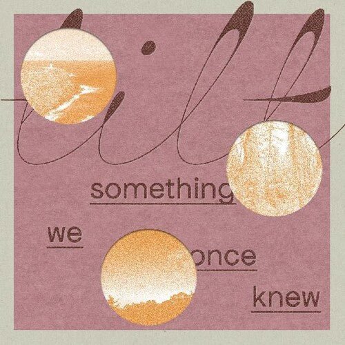 TILT - SOMETHING WE ONCE KNEW Vinyl LP - Image 2