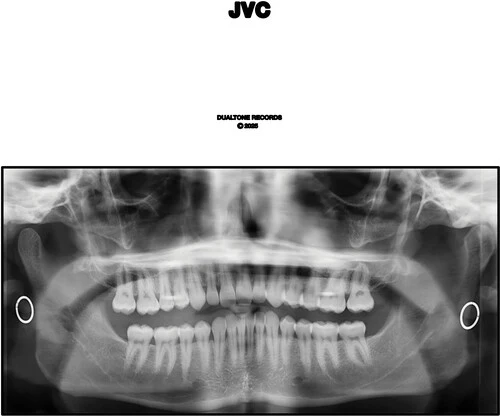 VAN CLEAF,JACK - JVC Vinyl LP
