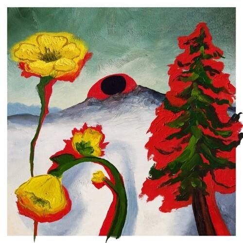 WOODS - STRANGE TO EXPLAIN Vinyl LP