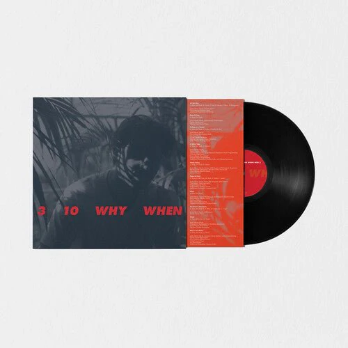 WOON,JAMIE - 3 10 WHY WHEN Vinyl LP