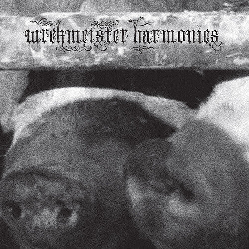 WREKMEISTER HARMONIES - FLOWERS IN THE SPRING Vinyl LP