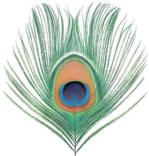 XTC - APPLE VENUS VOL 1 Vinyl LP