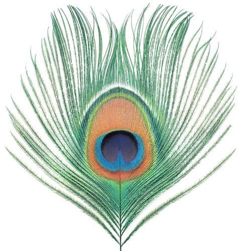 XTC - APPLE VENUS VOL 1 Vinyl LP - Image 2