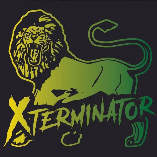 XTERMINATOR - XSTORY Vinyl LP